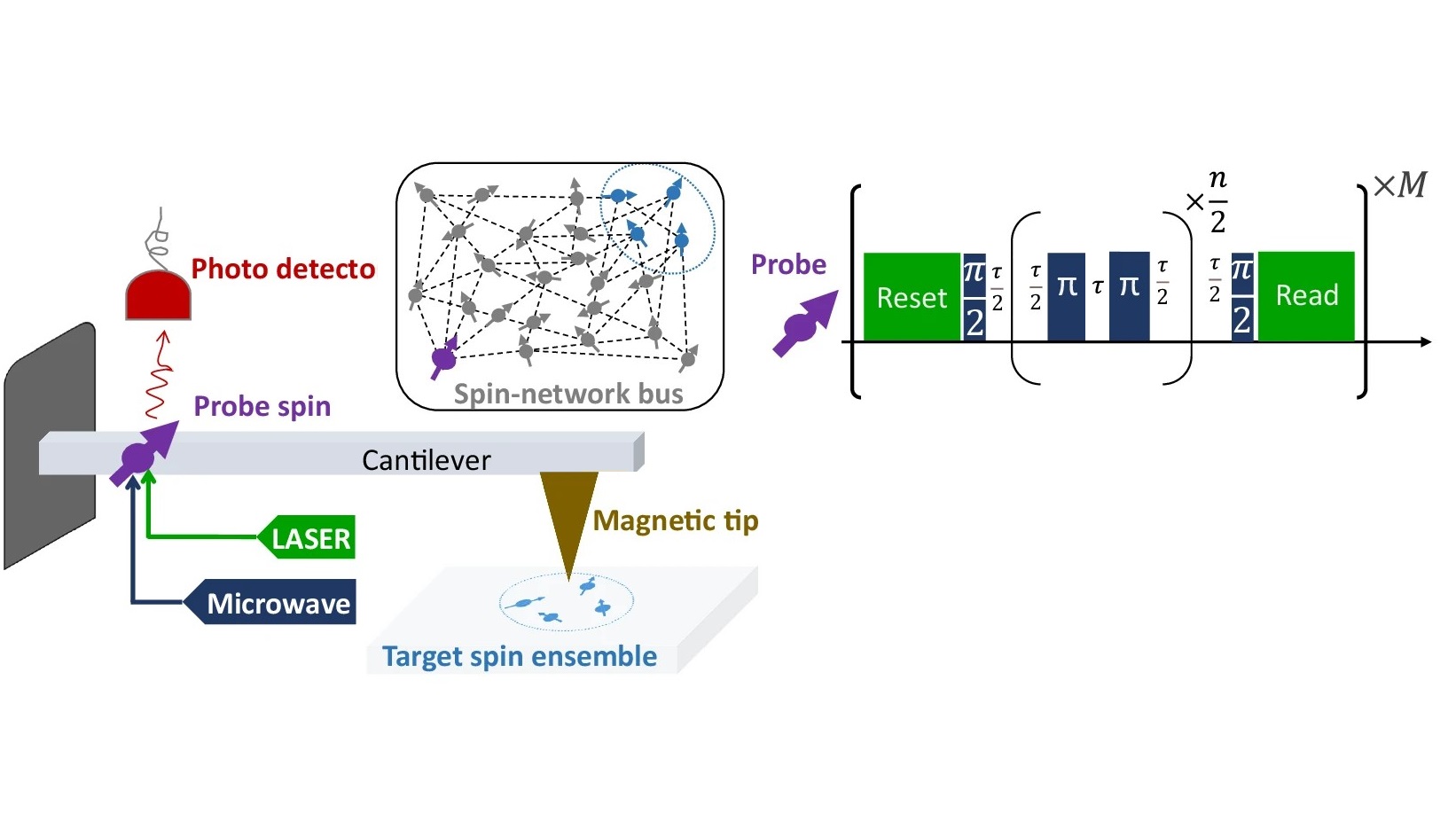 Highlight: Remote cooling of -ensembles through a spin-mechanical hybrid interface